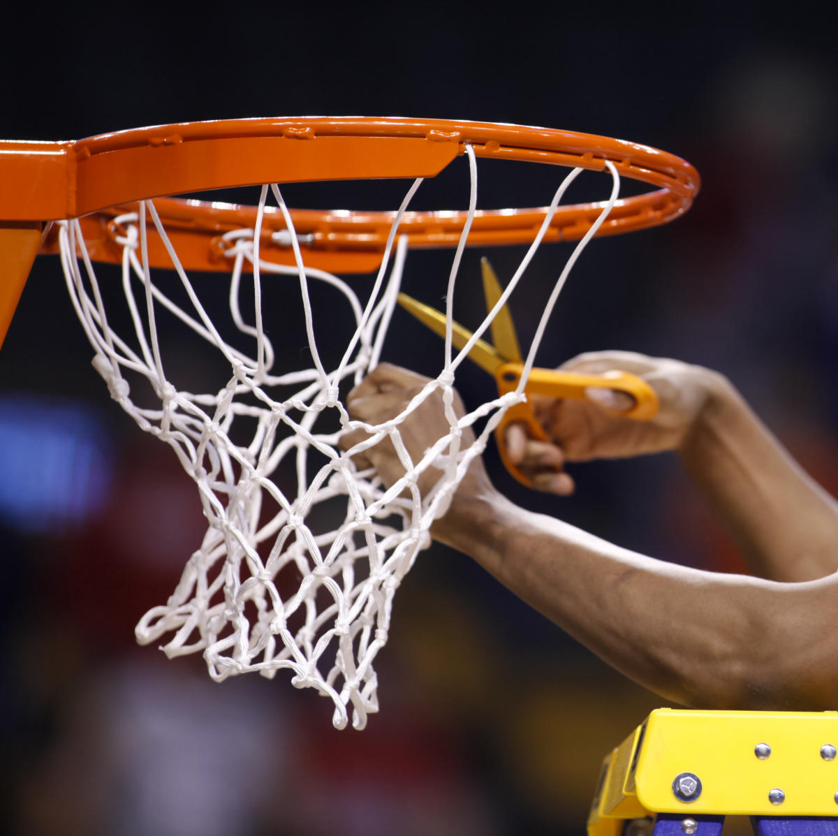 South Carolina Basketball Gamecock Basketball in Columbia SC