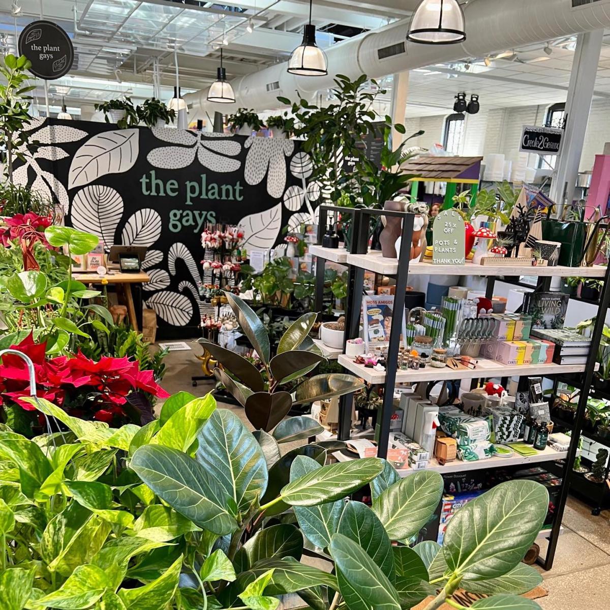 LGBTQ-Owned Business Spotlight: The Plant Gays