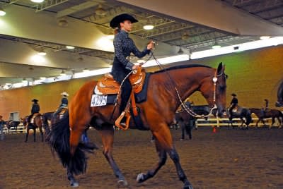 Saddle Up for the All American Quarter Horse Congress