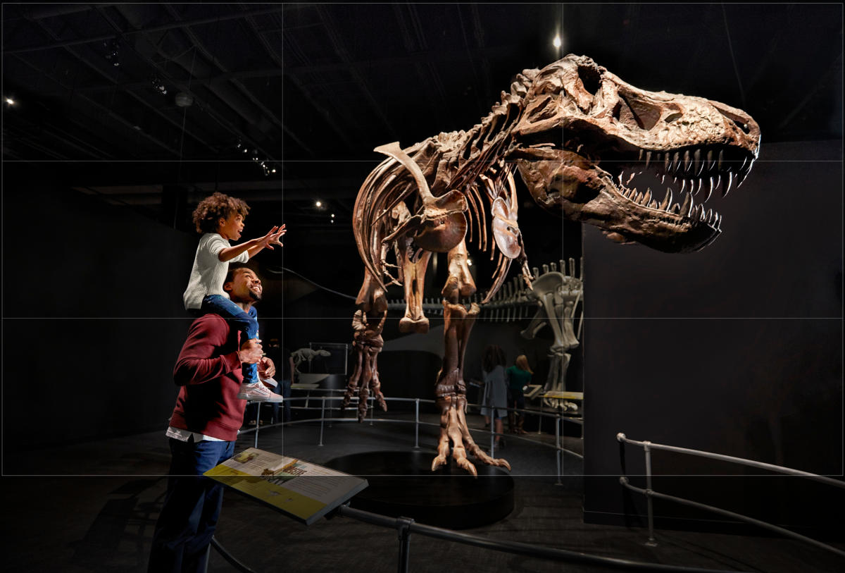 самый крутой музей. национальный музей науки японии токио. самый крутой музей. хьюстонский музей естественных наук хьюстон. самый крутой музей.