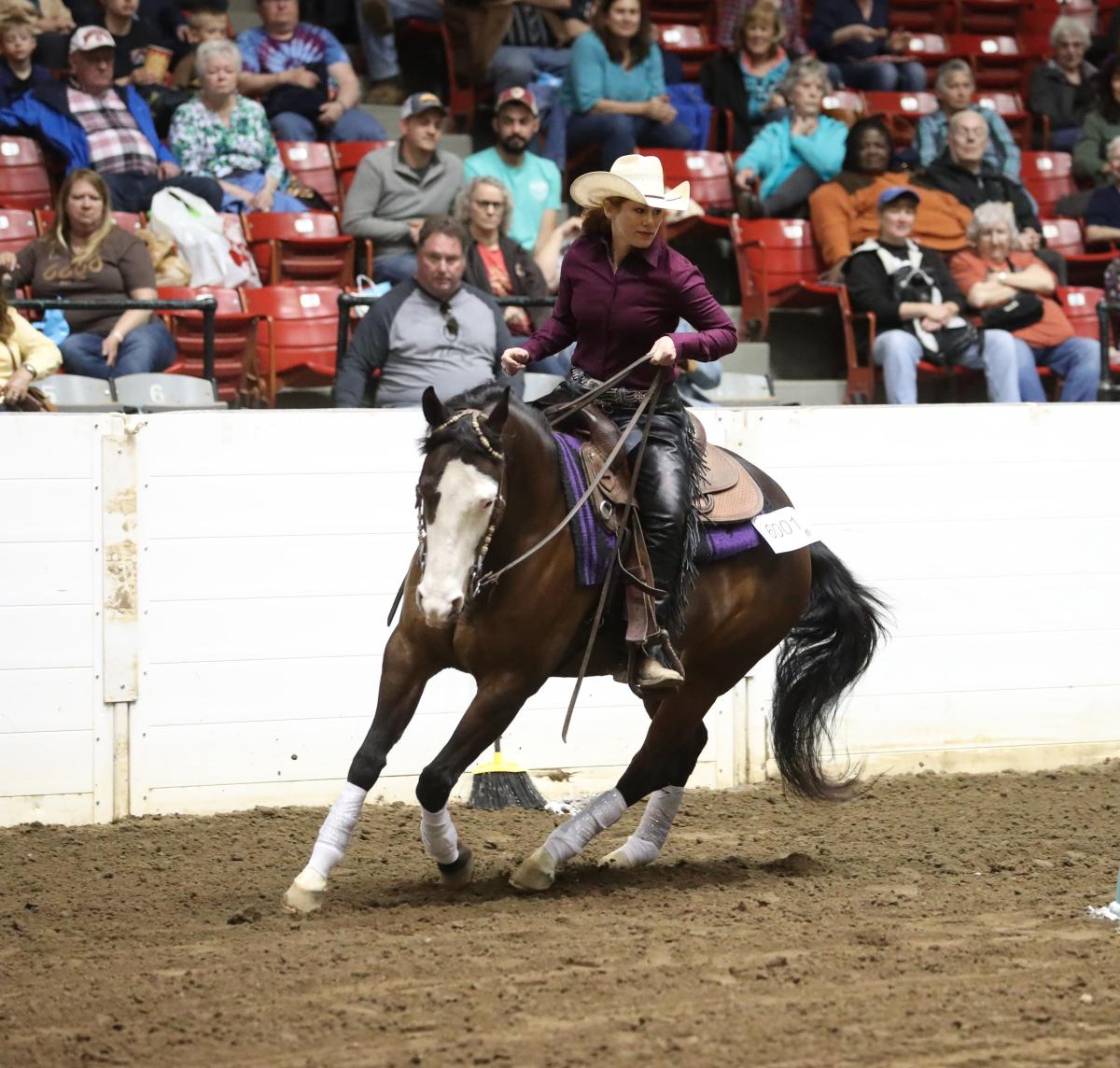 Equine Affaire in Columbus, Ohio April 2 5, 2020