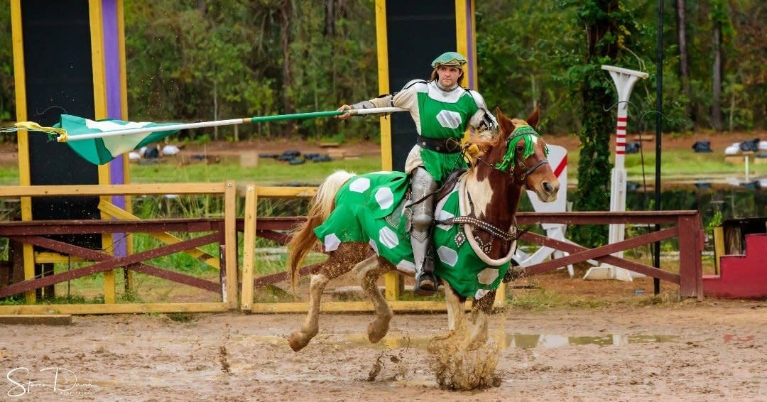 Texas Renaissance Festival