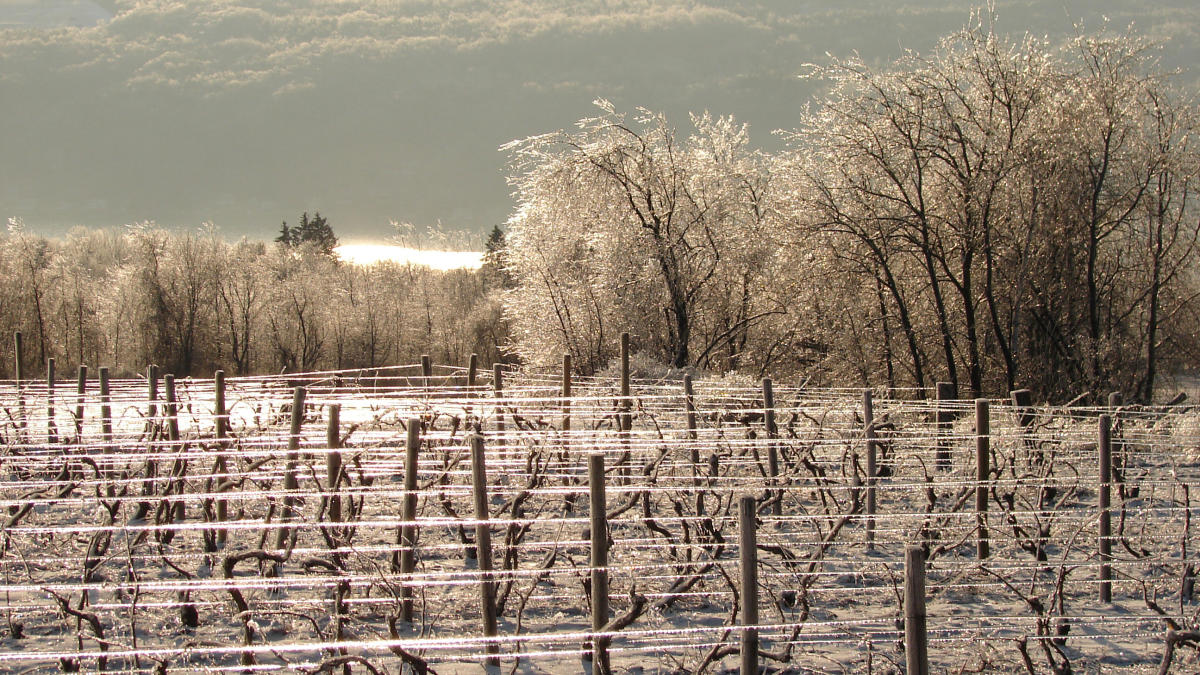do wineries close in the winter