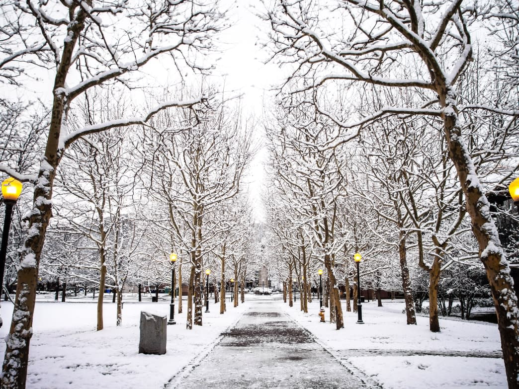 9 Unique Ways to Experience Winter in the Southern Finger Lakes