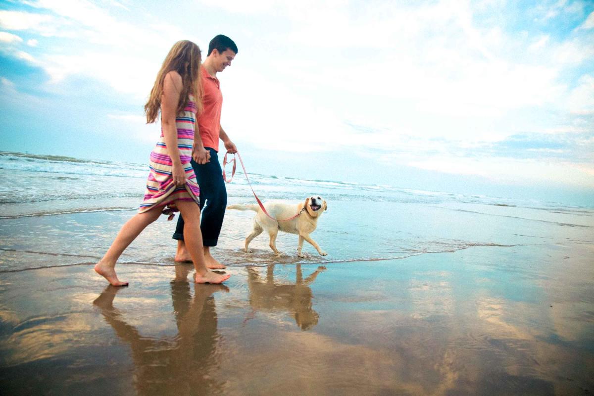 Dog Friendly Beaches In Corpus Christi Pet Friendly Parks