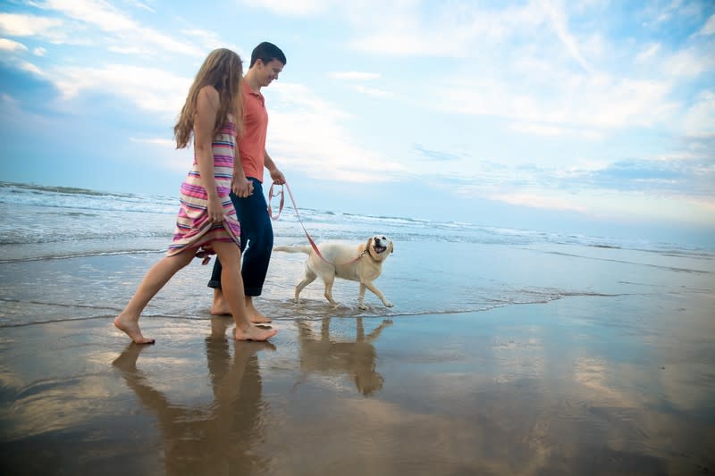 Dog Friendly Beaches in Corpus Christi