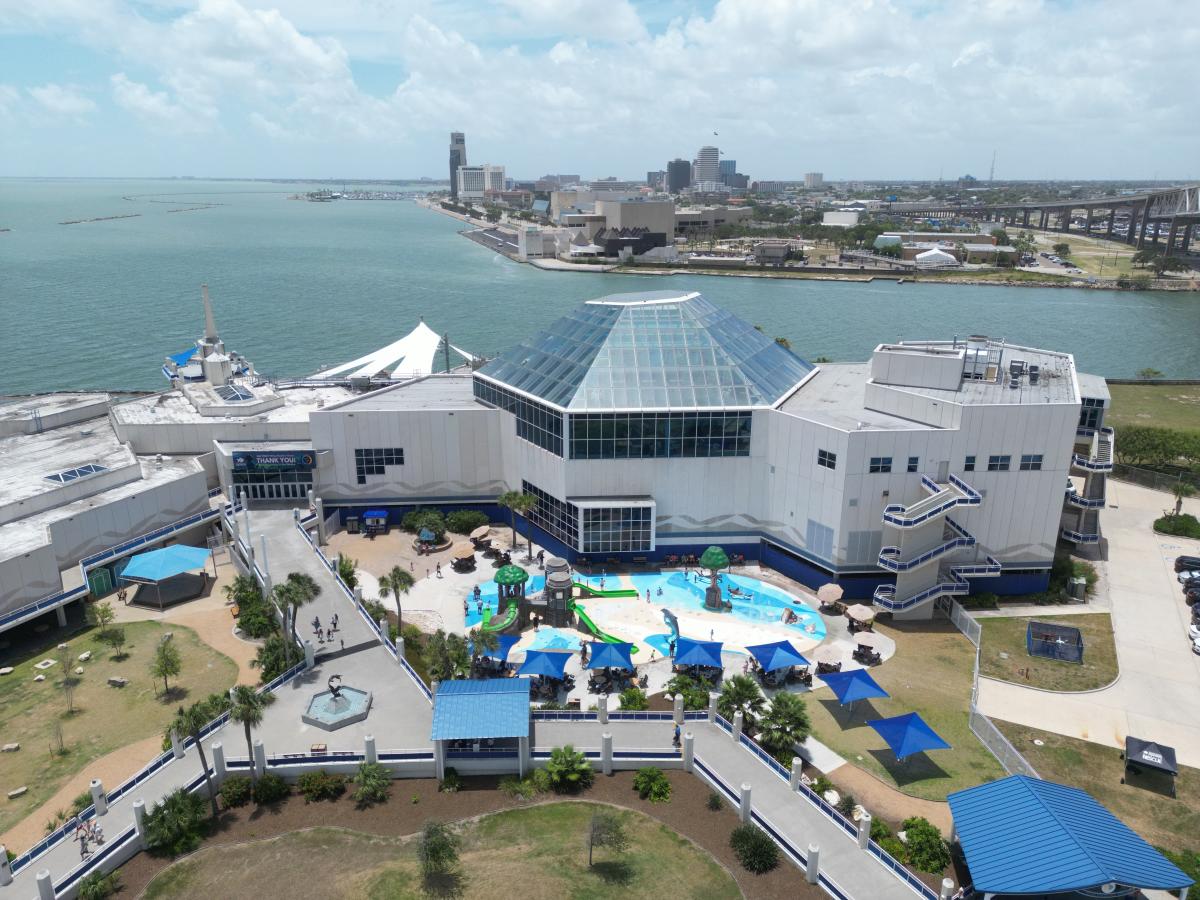 Guide to the Texas State Aquarium | Exhibits, Animals & Tips