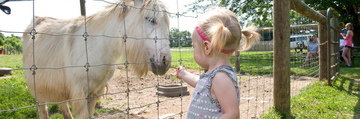 Kid Friendly Activities - Visit Cumberland Valley