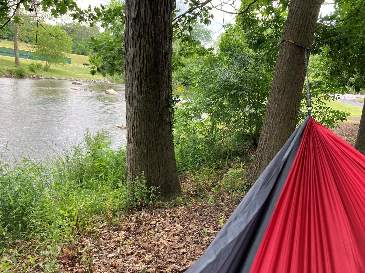 Best places to hammock near me clearance