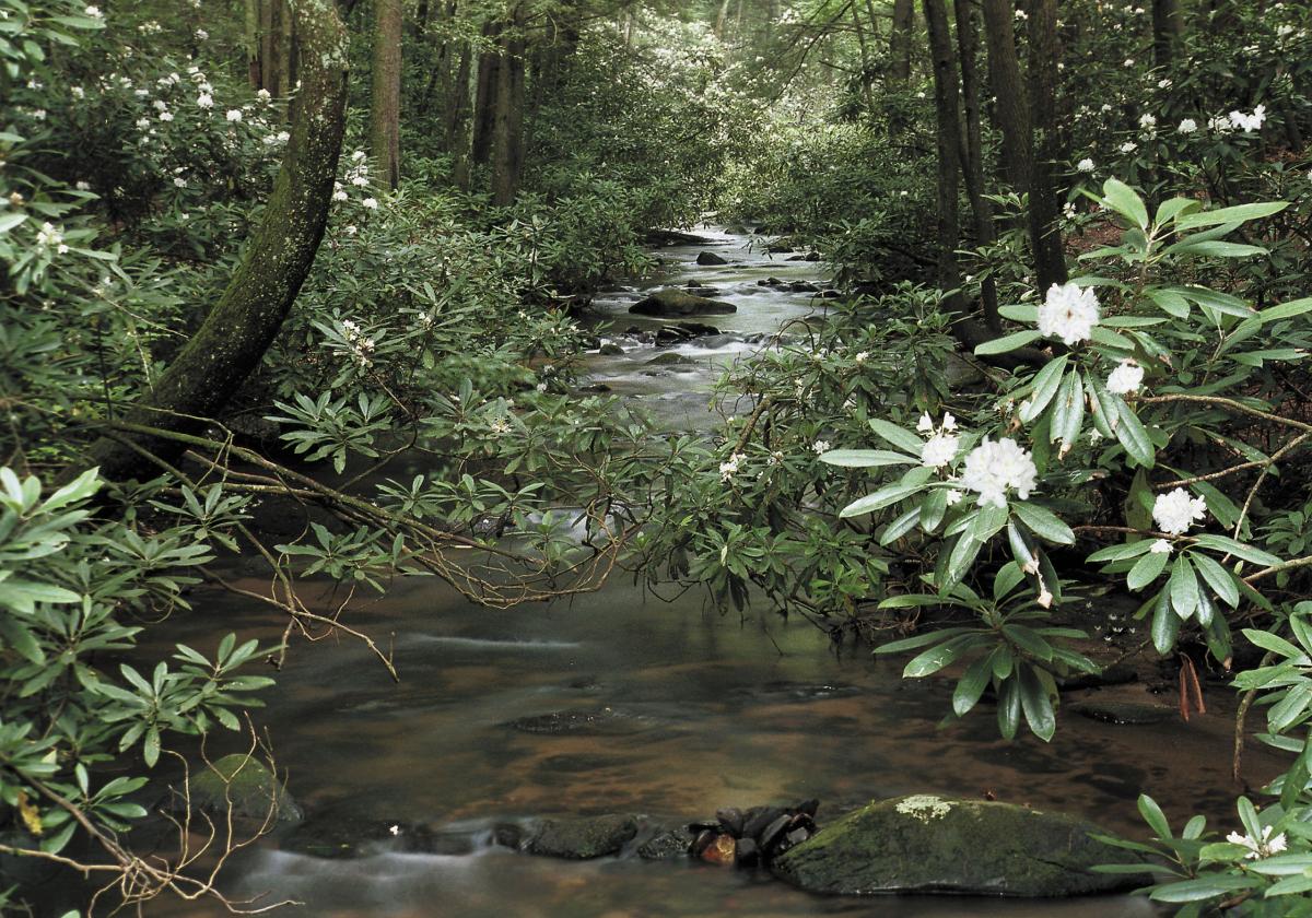 RV Parks & Campgrounds DahlonegaLumpkin County Chamber & Visitors Bureau