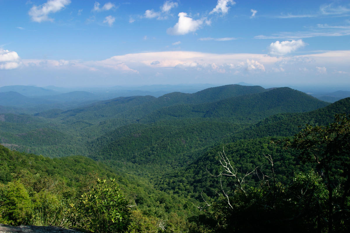 Hiking Backpacking Dahlonega Visitors Center
