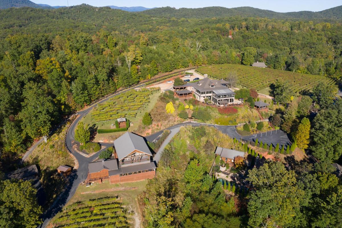 Wolf winery hotsell