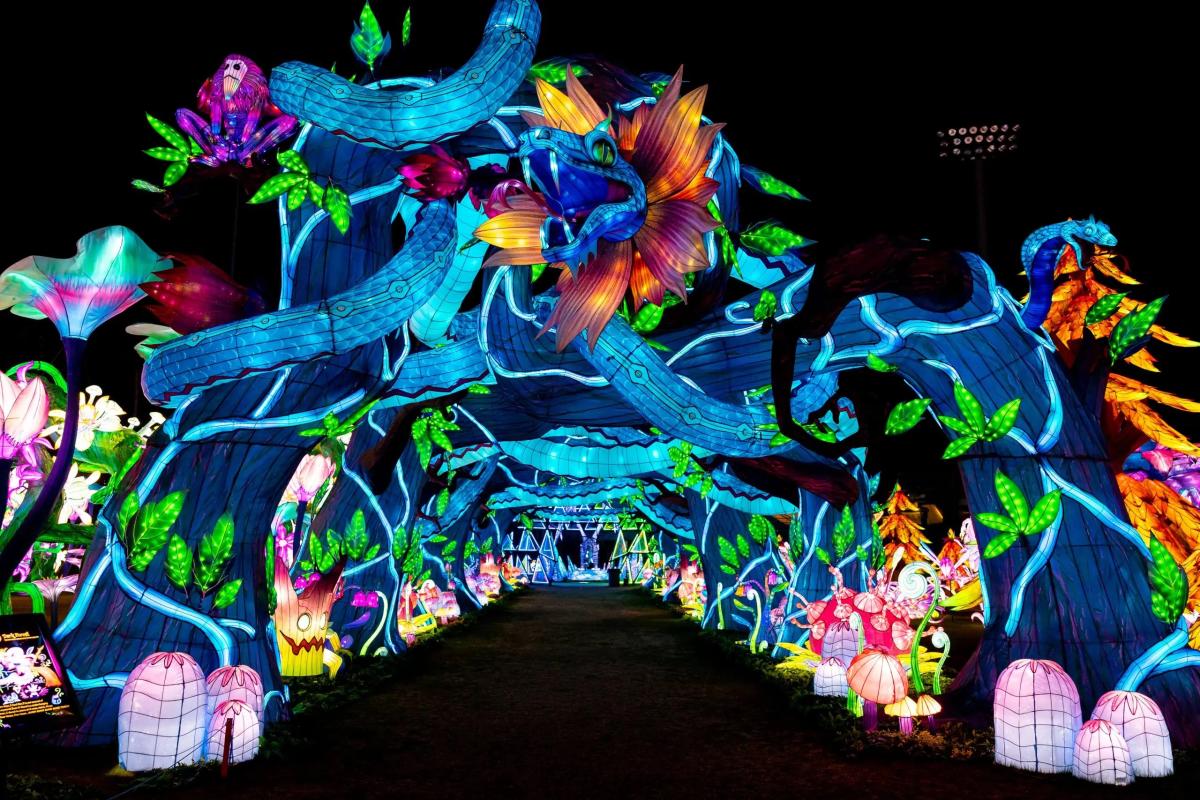Tianyu Lights, a Massive, New & Interactive Light Festival, is Coming