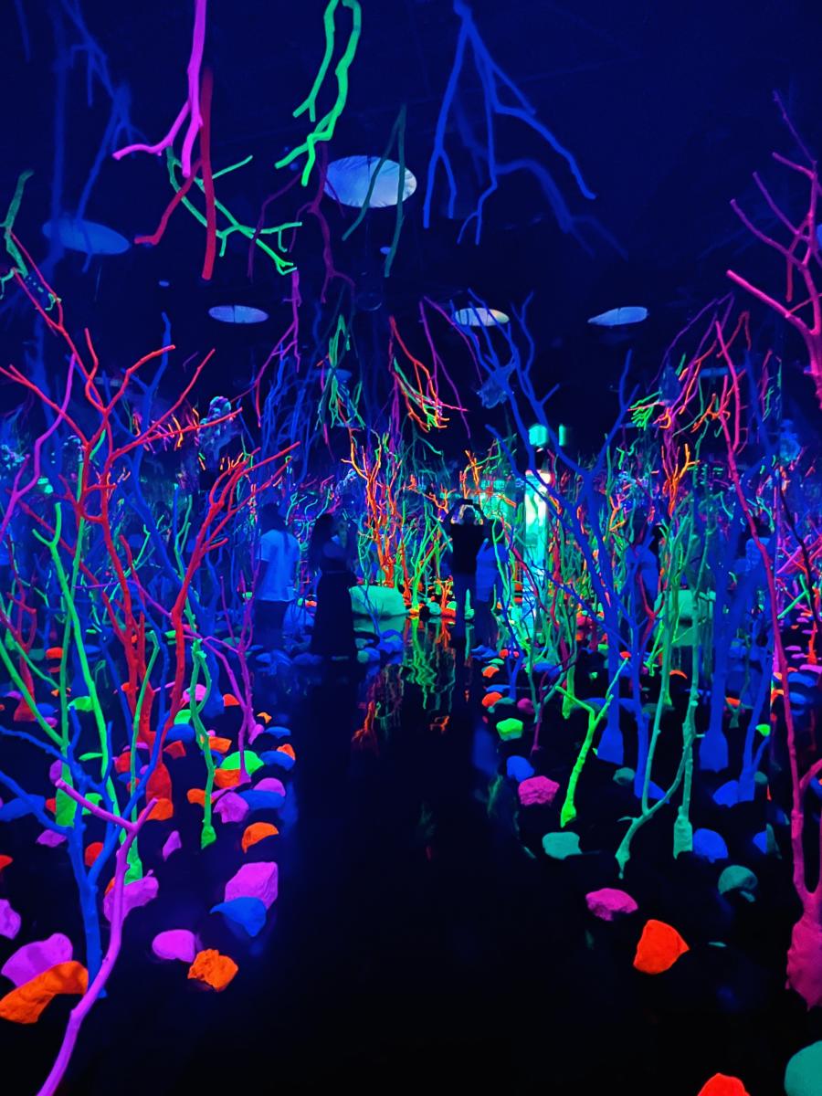 Global Phenomenon Meow Wolf is Now Open in Grapevine
