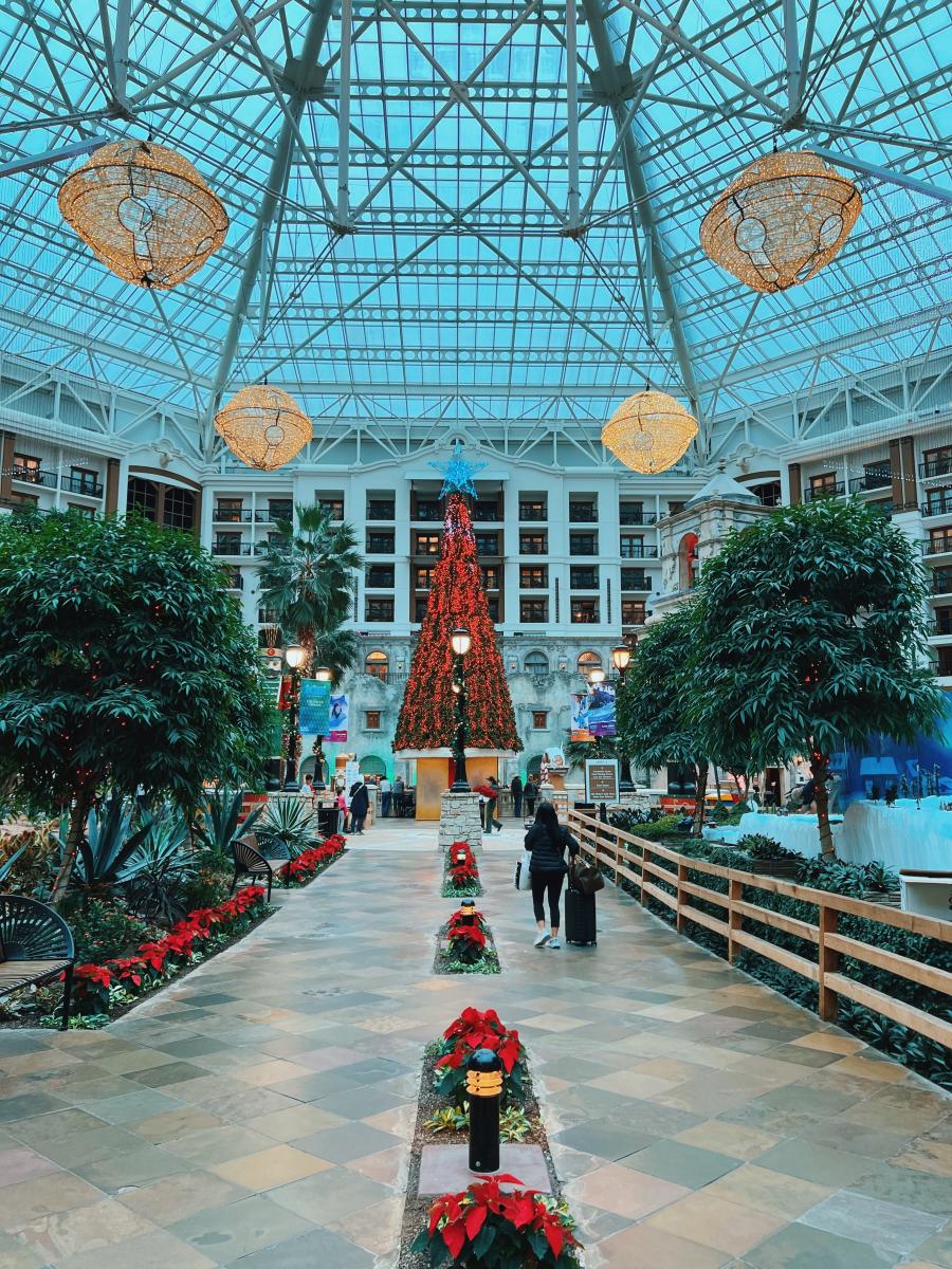 Explore ICE! at the Gaylord Texan, Featuring Grinch Themed Ice
