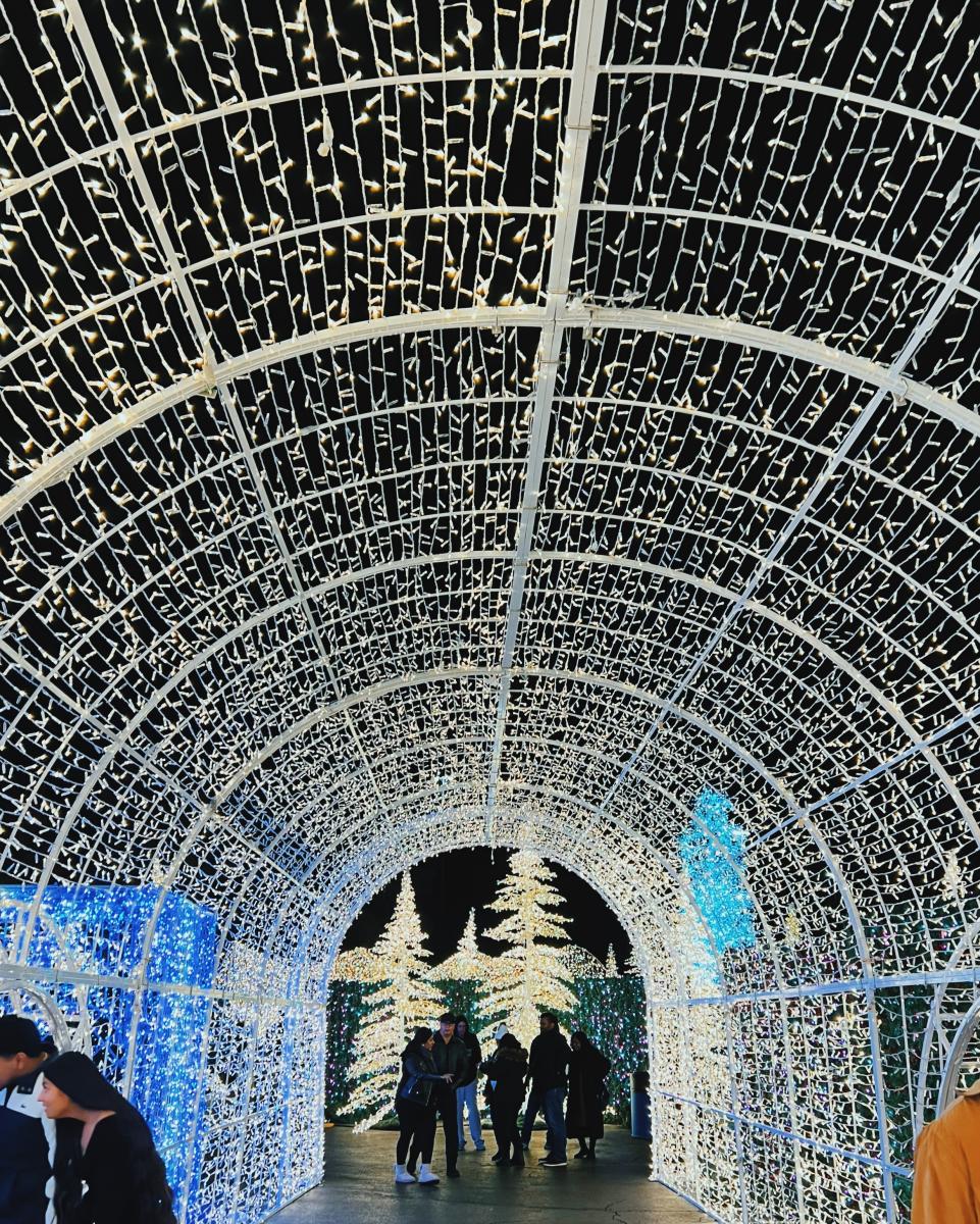 Enchant Christmas Returns to Fair Park with 4 Million Lights, Ice