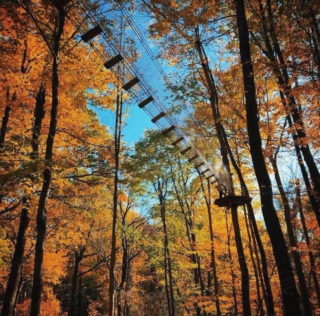 Have an Epic Treetop Zipline & Ropes Course Adventure at