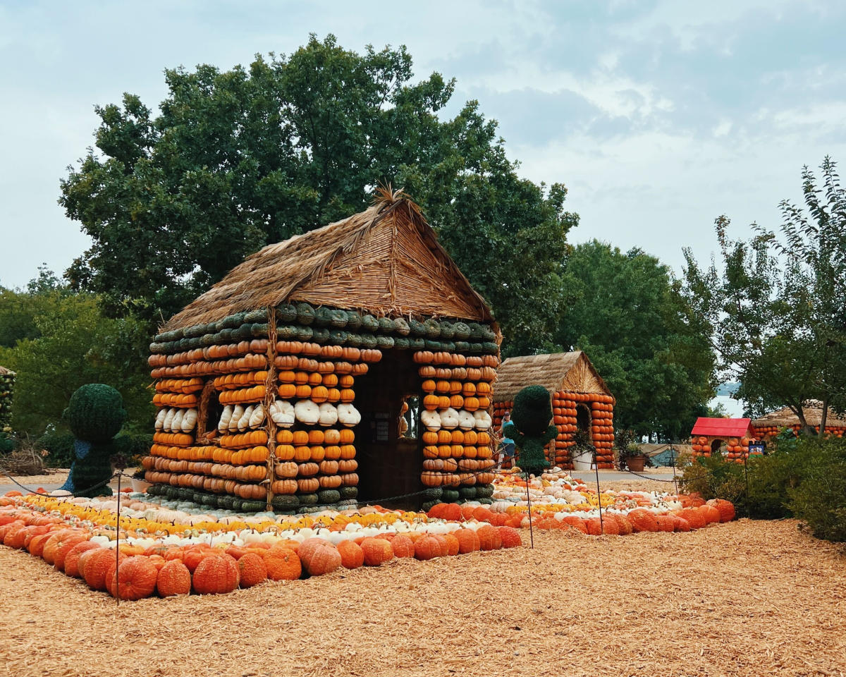 30+ of the Best Fall Festivals & Events in Dallas-Fort Worth