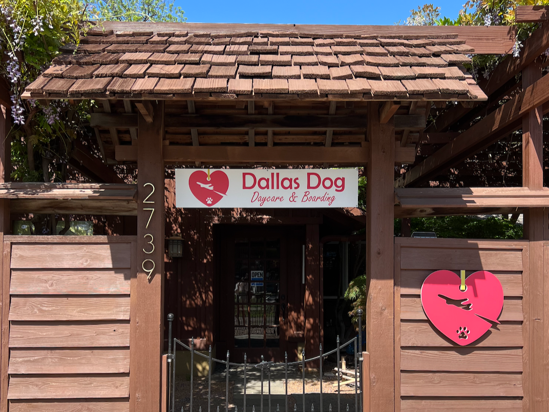 The Best Dog Daycares in Dallas
