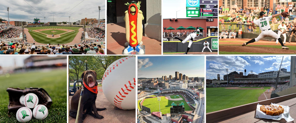 5 Fun Facts about the Dayton Dragons | Baseball, Things to do in Dayton, OH