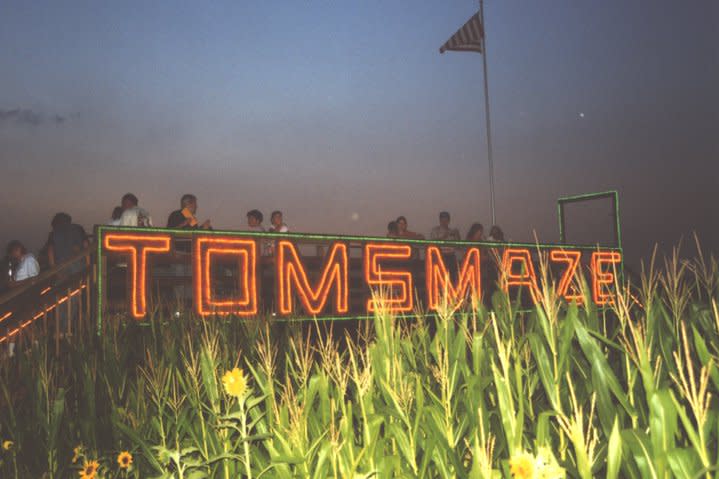 10 Fun Things to Do at Tom's Maze!