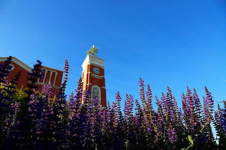 Spring Break in Decatur County: An Easy Getaway Guide - Articles ...