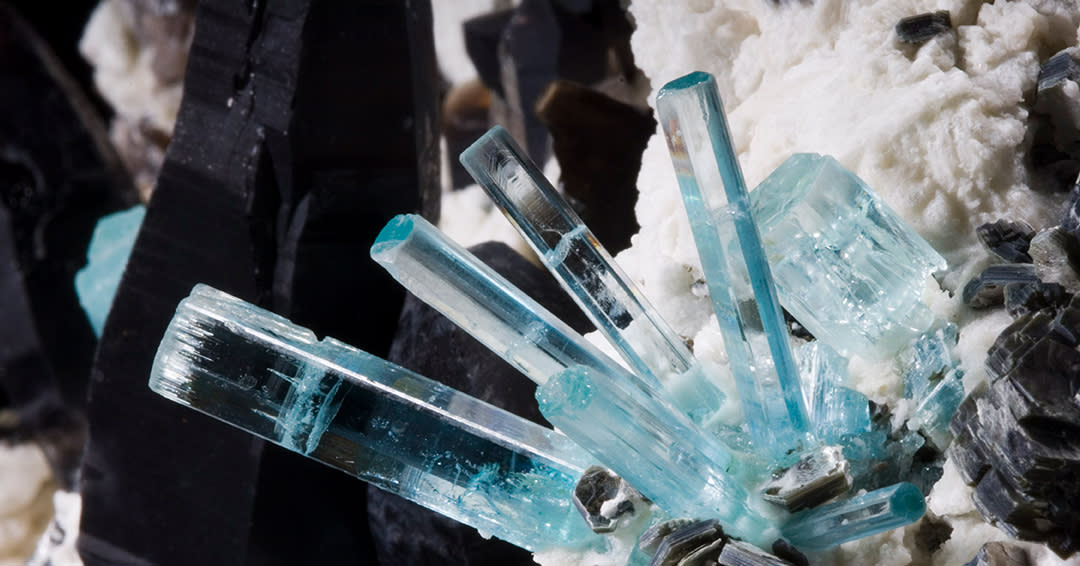 11 Fun Things to Do at Denver Museum of Nature & Science This Summer