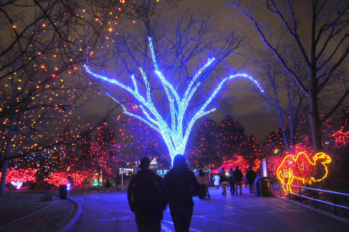 Christmas Events Denver 2019 Denver Holiday Lights | VISIT DENVER Christmas Events Denver 2019 Denver Holiday Lights | VISIT DENVER