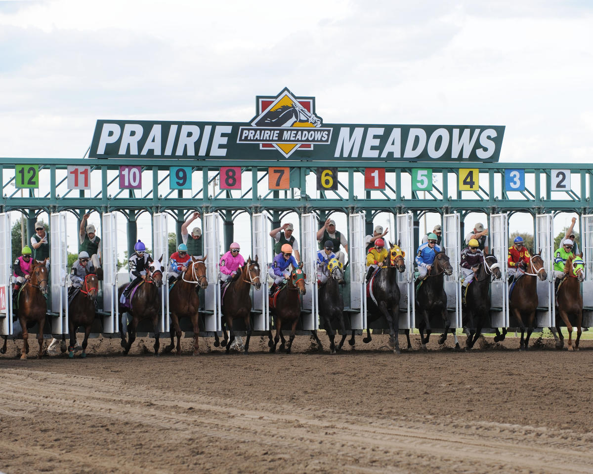 Prairie Meadows