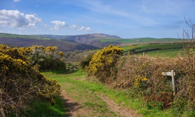 5 great walks around North Devon