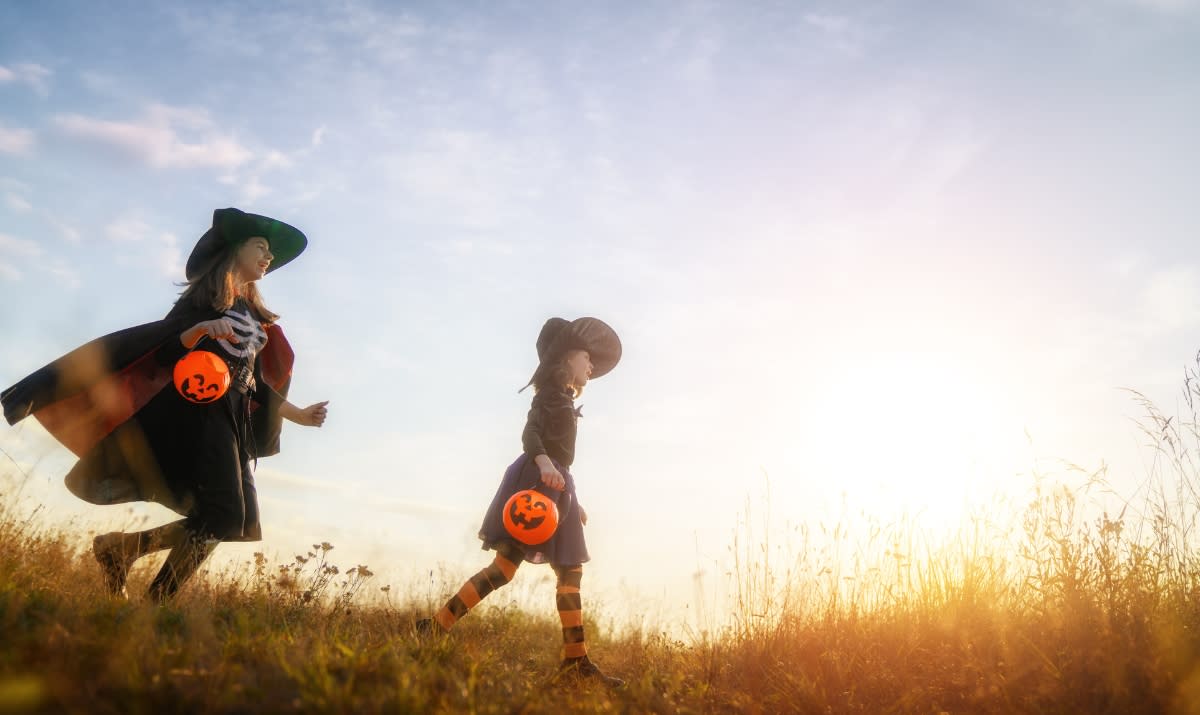 What's On this Half Term