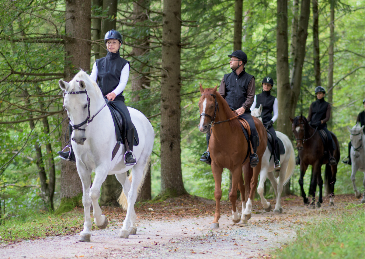 Horse Riding in North Devon