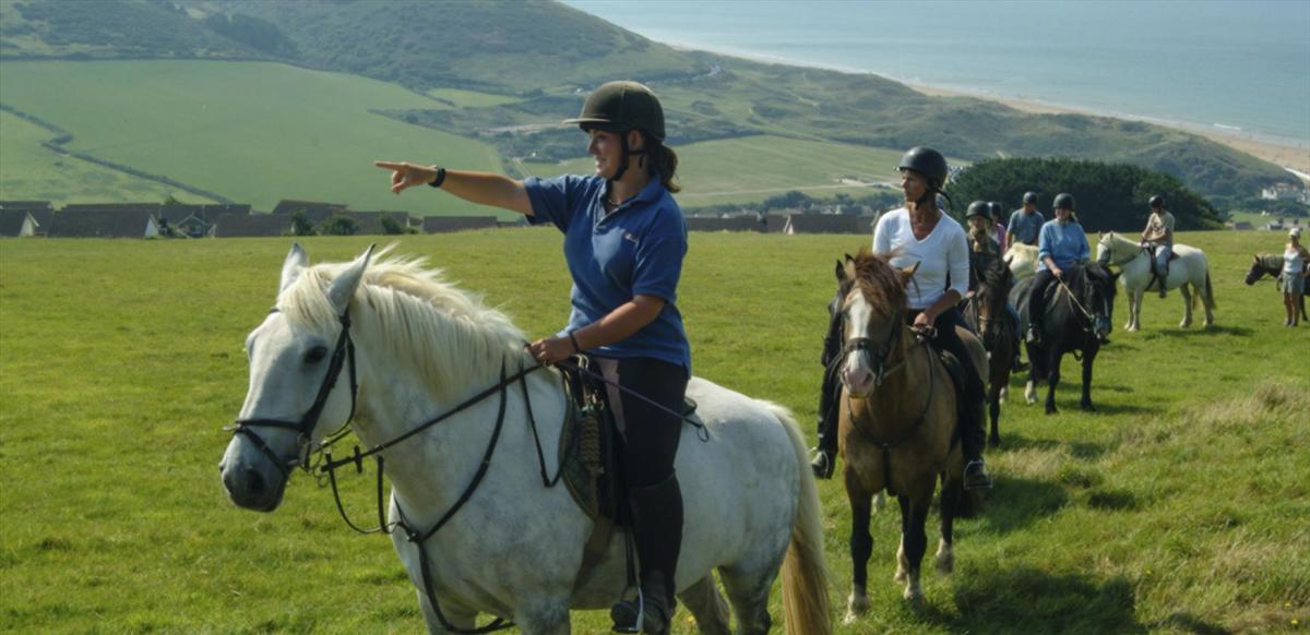 Horse trekking deals