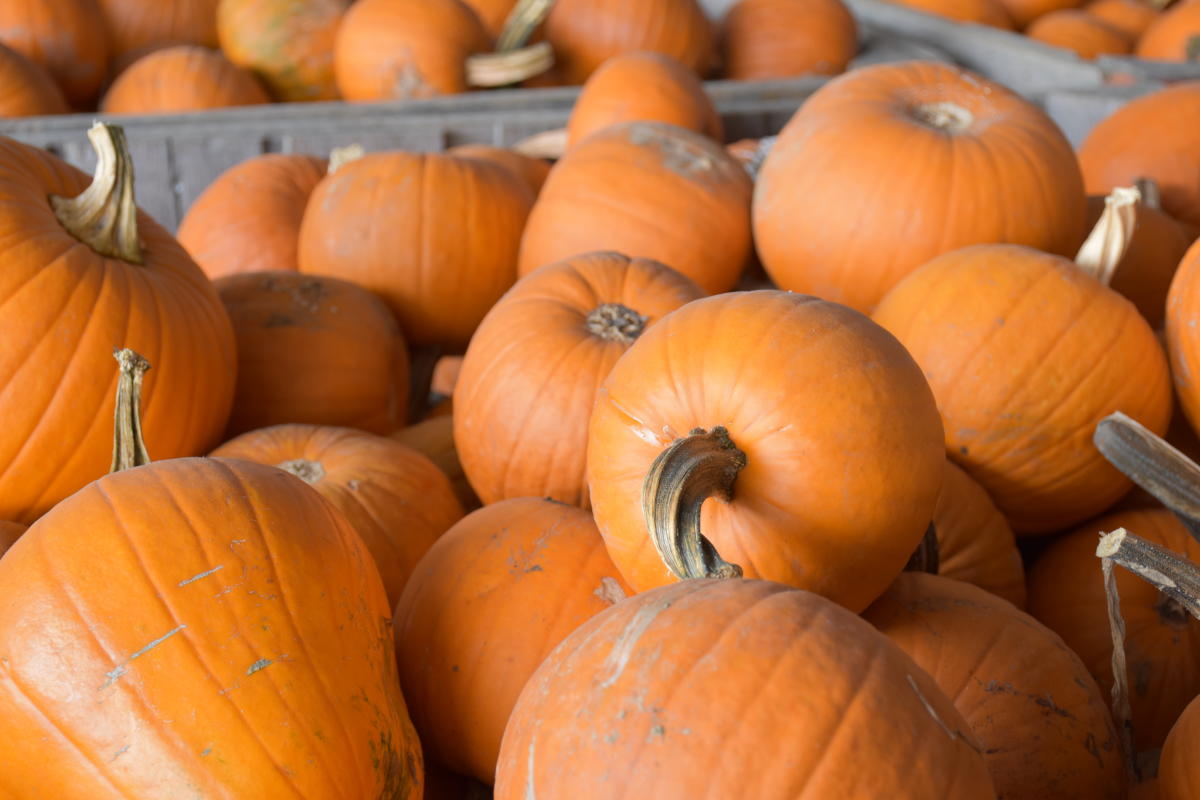 Restaurants in lehigh valley serving thanksgiving dinner