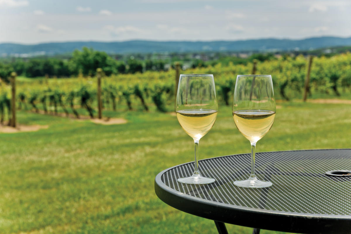 Local vineyard near me shop