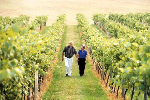 lehigh valley winery tours