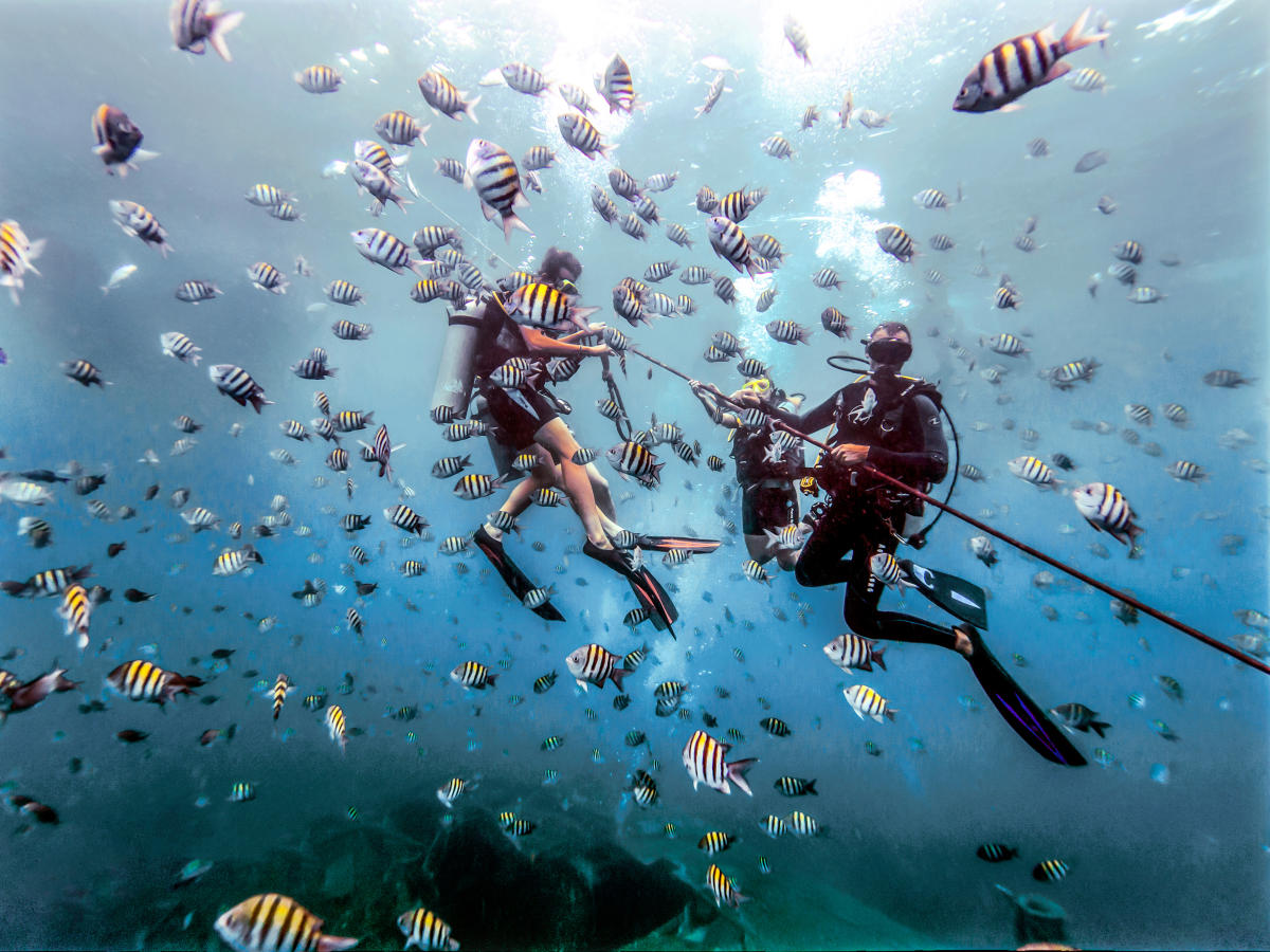 Buceo + Snorkeling - GoDominicanRepublic.com