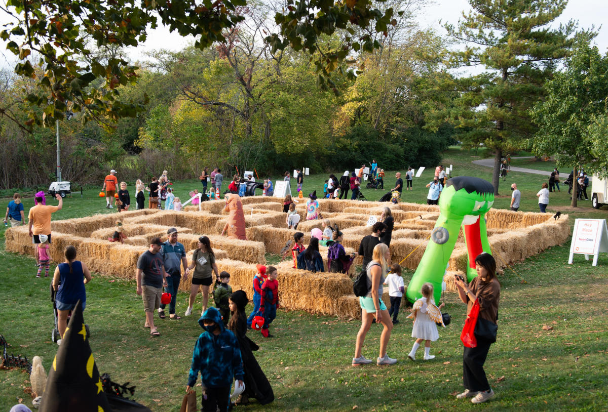 Dublin's Best Fall Events & Activities