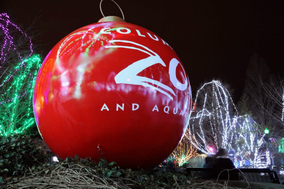 Everything You Need to Know about Wildlights at the Columbus Zoo