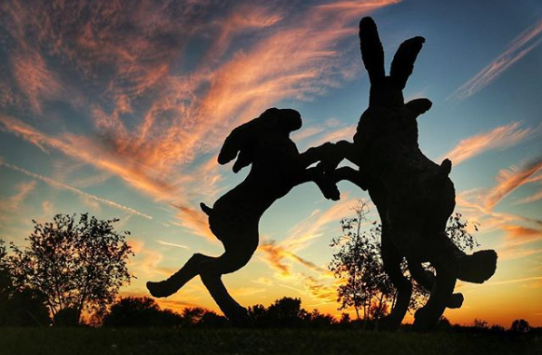History Of The Dancing Hares