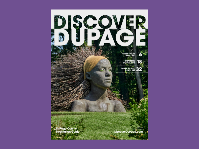 Discover DuPage County Illinois Request Information