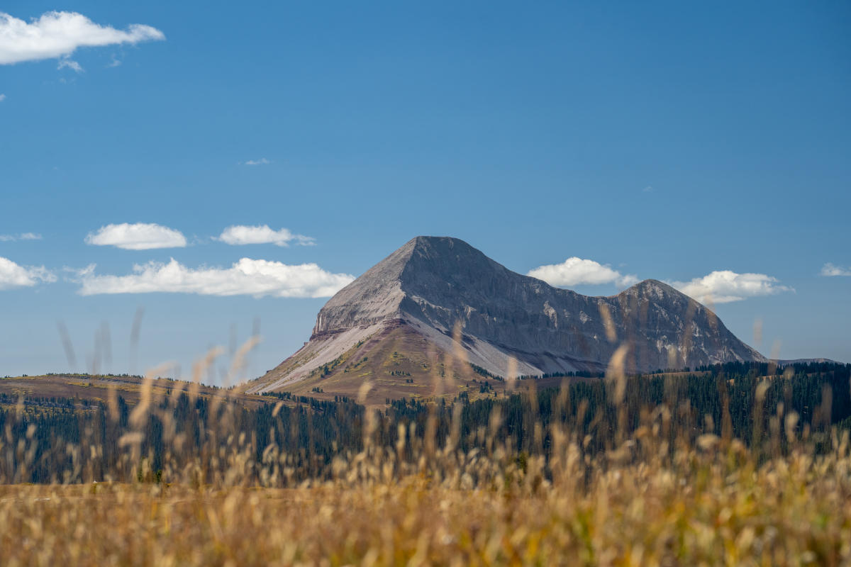 10 Day Activities to Do in Durango | Official Tourism Site
