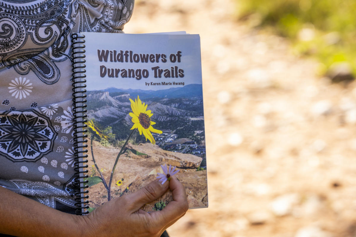 Guide to Wildflowers on the CT and Oxbow Visit Durango, CO Official