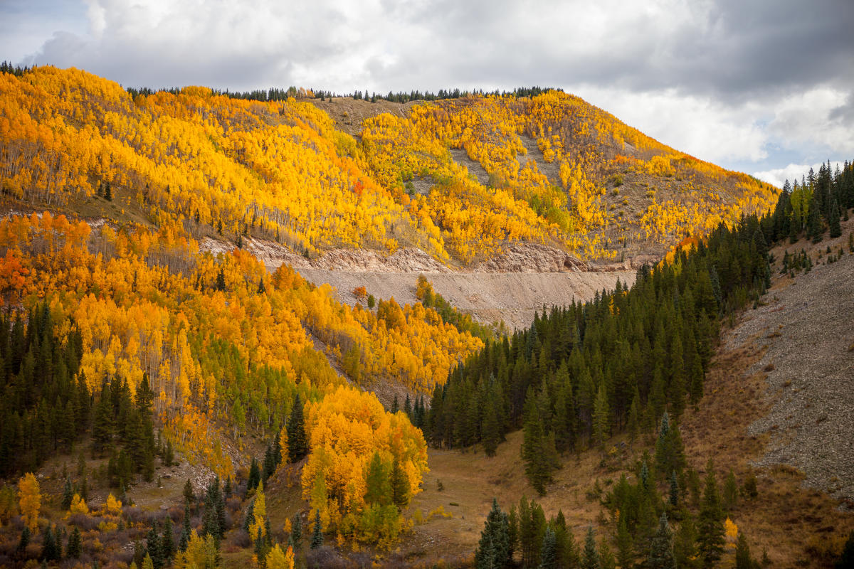 Best Drives Hikes And Rides For Durango s Fall Colors Visit Durango 