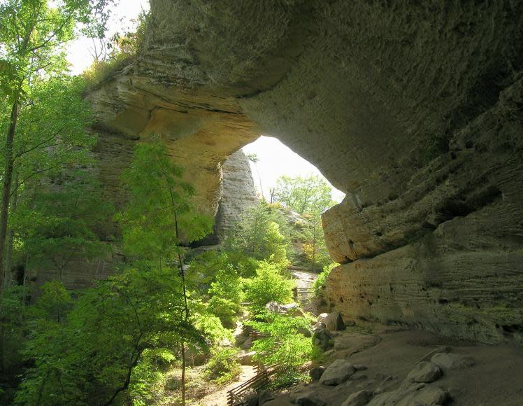 Daniel Boone National Forest Activities and Lodging