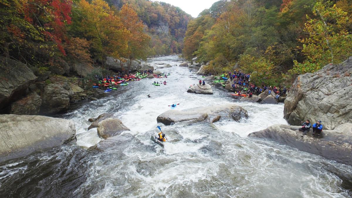 Discover Thrilling Kayaking in Kentucky Explore KY Wildlands