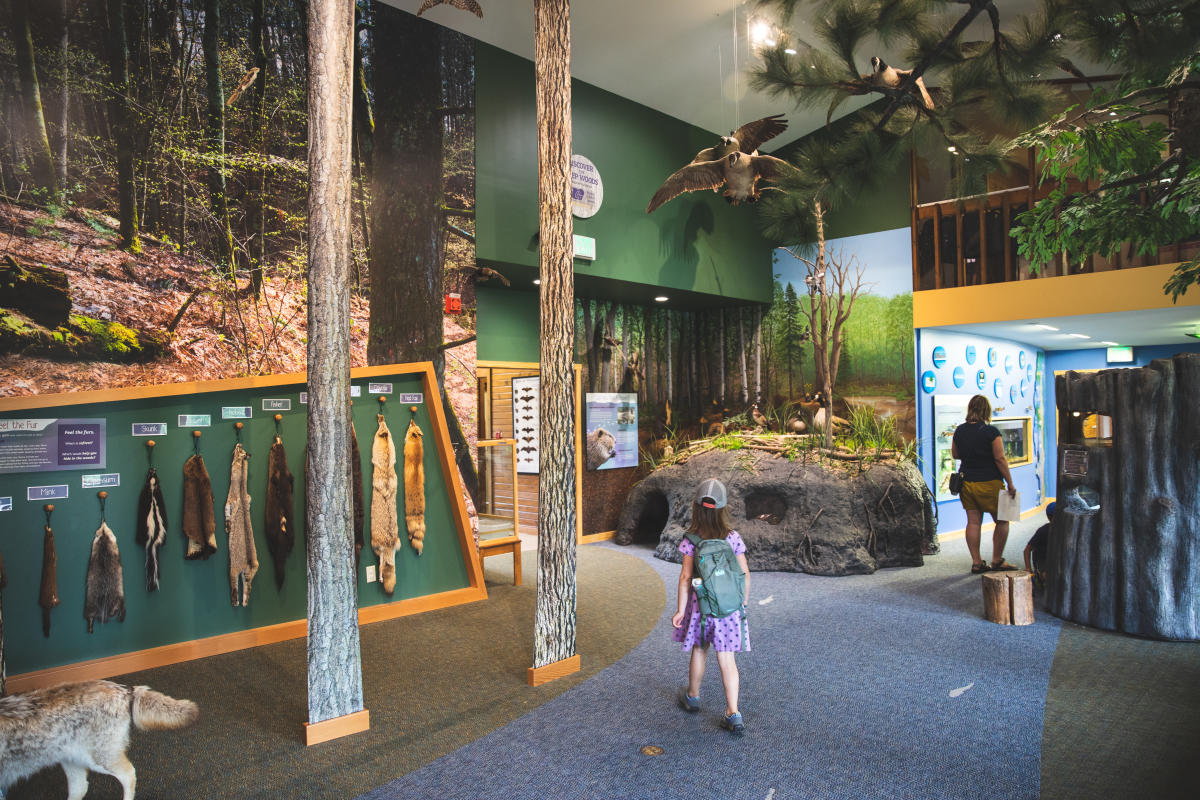Fall Creek, WI Plan a Day Trip from Eau Claire