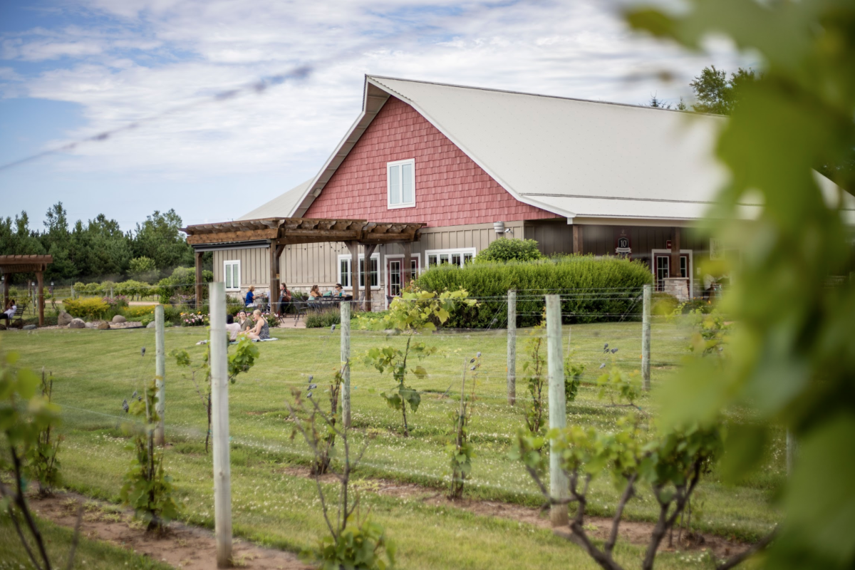 Wineries in Eau Claire Grape Harvest, Wine Making & Tasting