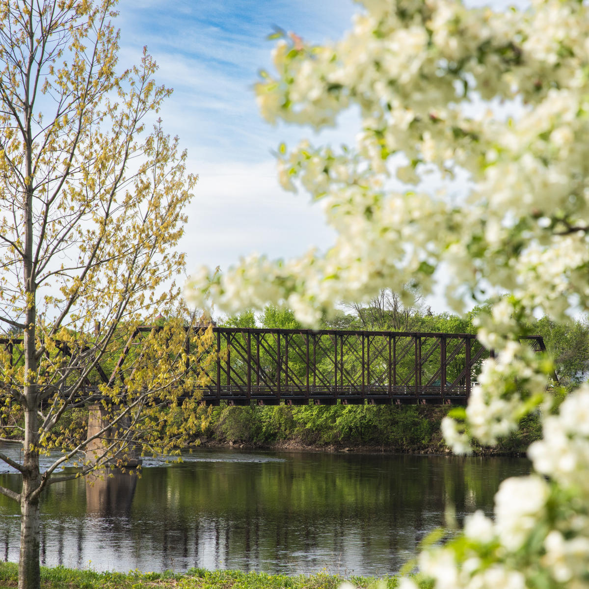 Places to Celebrate Earth Day in Downtown Eau Claire
