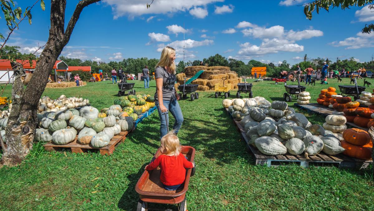 How To Spend Fall In Elizabethtown